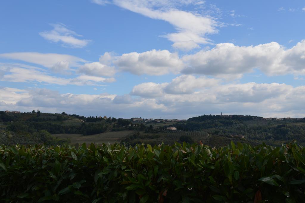 Oliveta Tavarnelle Val di Pesa Room photo